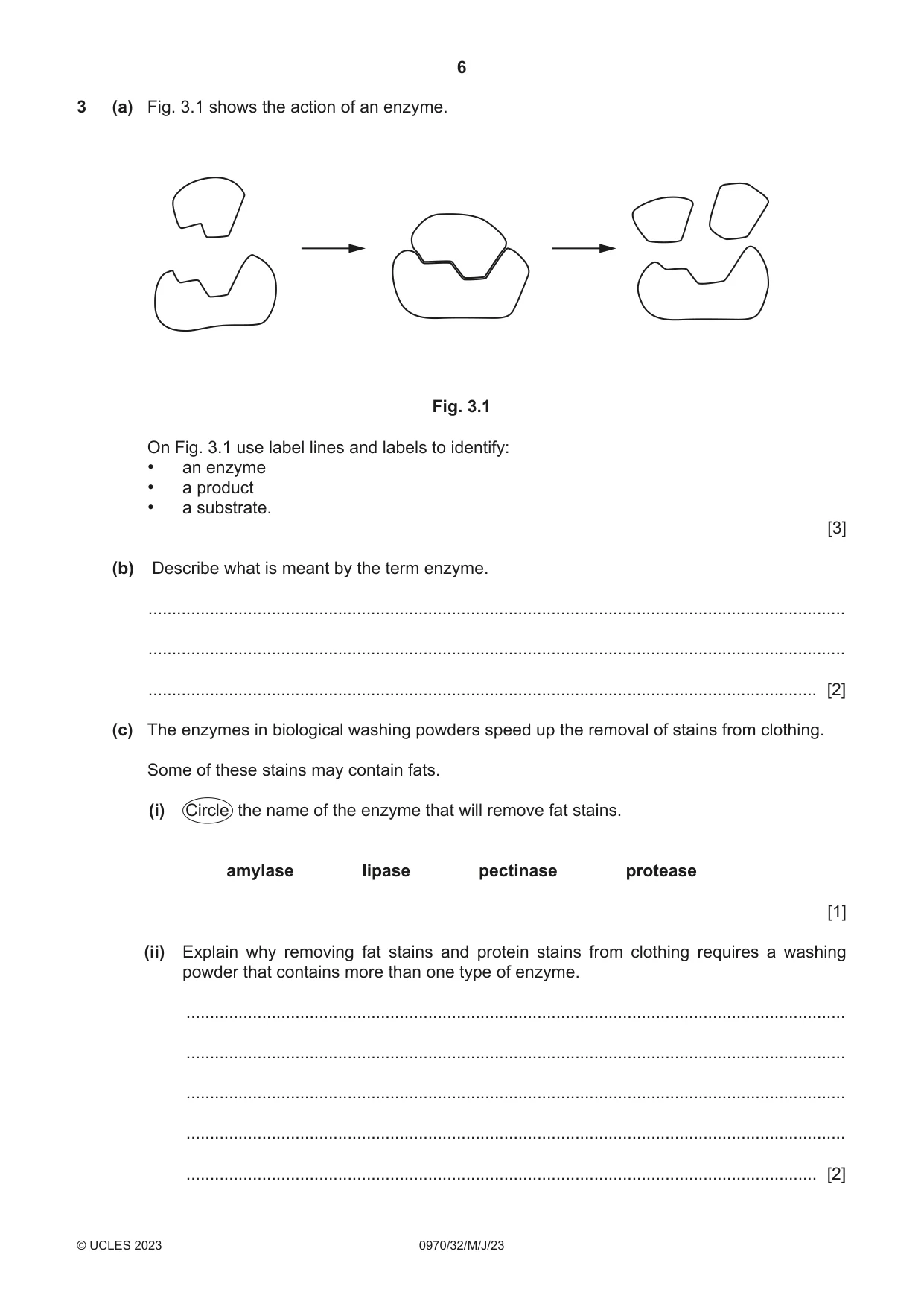 Cambridge IGCSE Biology (9-1) 0970 2023 May/June Paper 3 · Variant 2 question paper, page 6 of 20