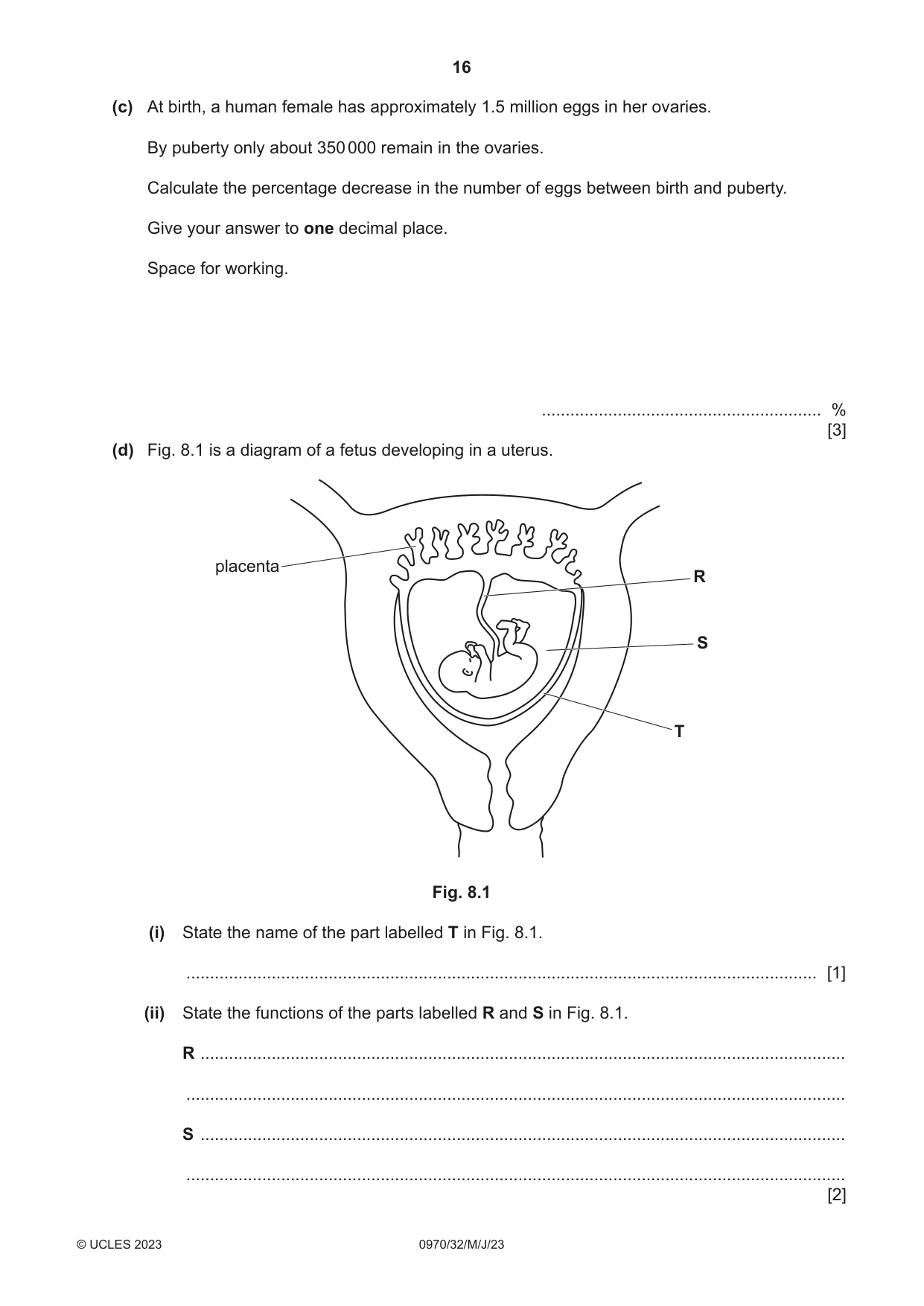 Cambridge IGCSE Biology (9-1) 0970 2023 May/June Paper 3 · Variant 2 question paper, page 16 of 20