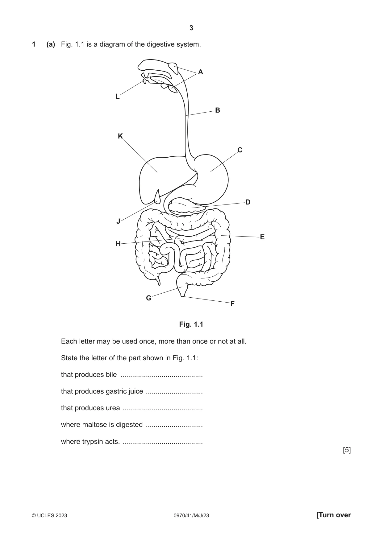Cambridge IGCSE Biology (9-1) 0970 2023 May/June Paper 4 · Variant 1 question paper, page 3 of 20