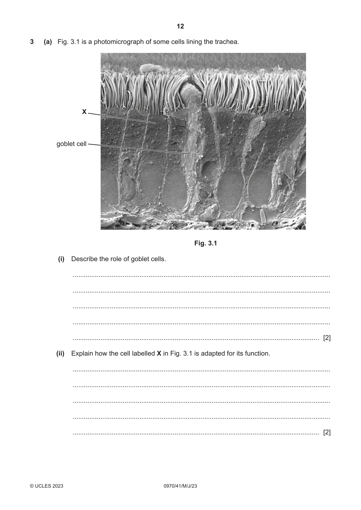 Cambridge IGCSE Biology (9-1) 0970 2023 May/June Paper 4 · Variant 1 question paper, page 12 of 20