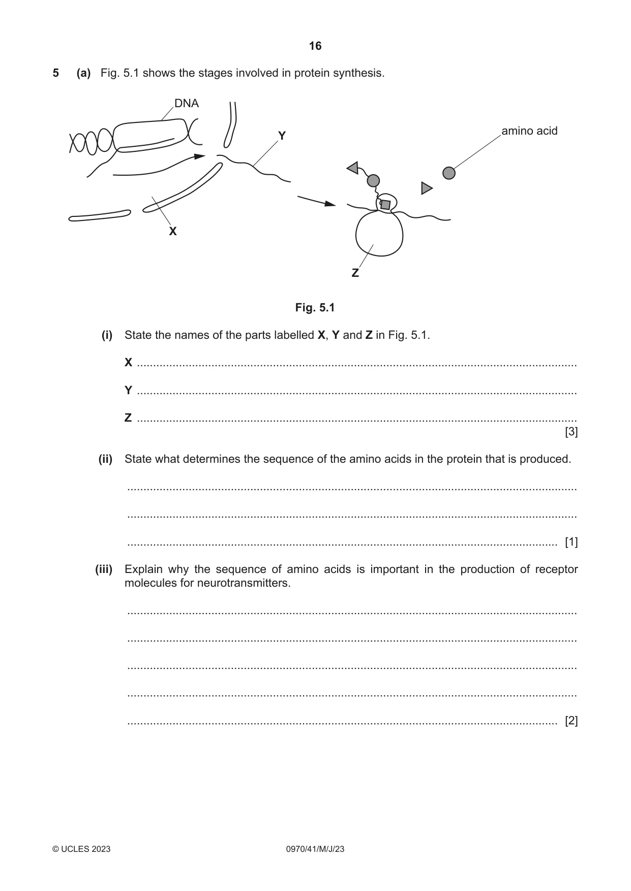 Cambridge IGCSE Biology (9-1) 0970 2023 May/June Paper 4 · Variant 1 question paper, page 16 of 20