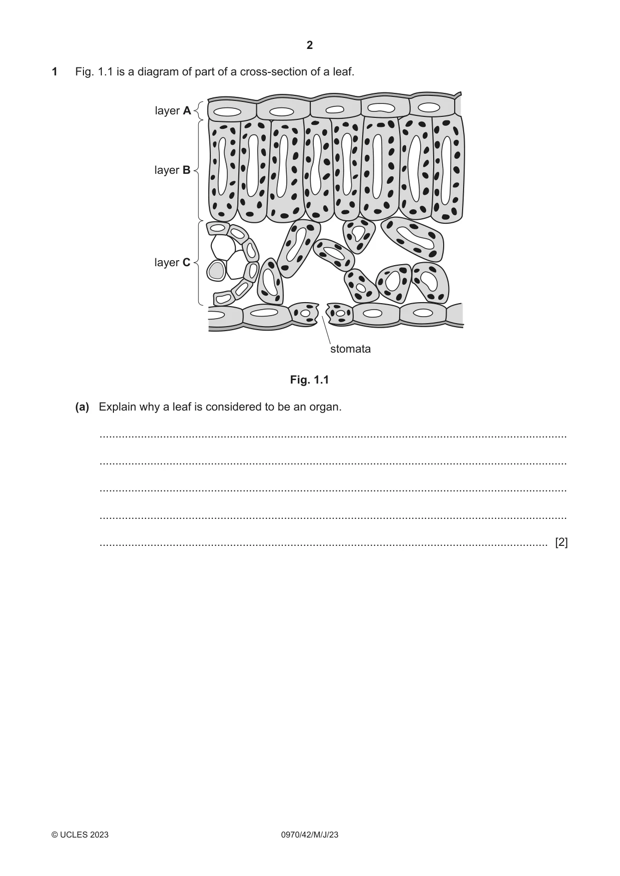 Cambridge IGCSE Biology (9-1) 0970 2023 May/June Paper 4 · Variant 2 question paper, page 2 of 20