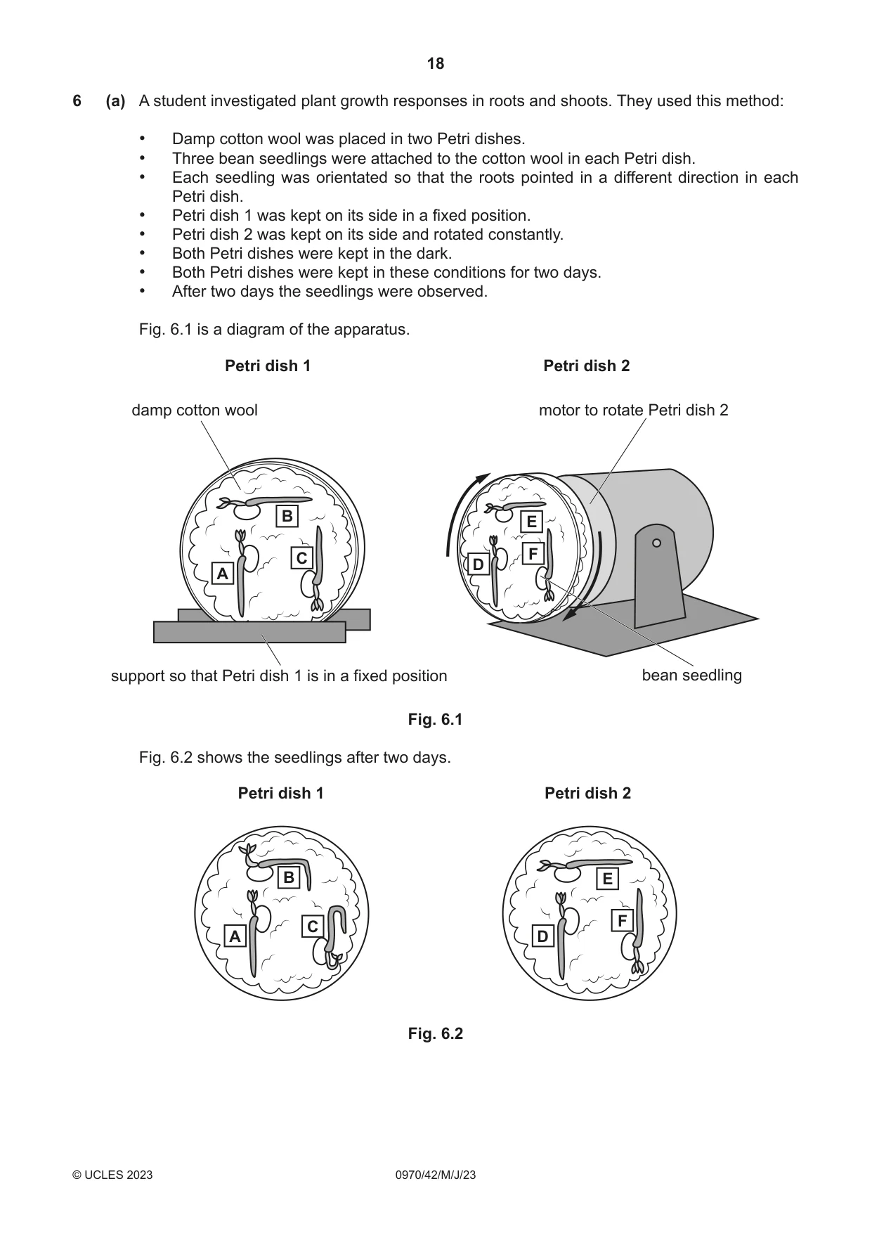 Cambridge IGCSE Biology (9-1) 0970 2023 May/June Paper 4 · Variant 2 question paper, page 18 of 20
