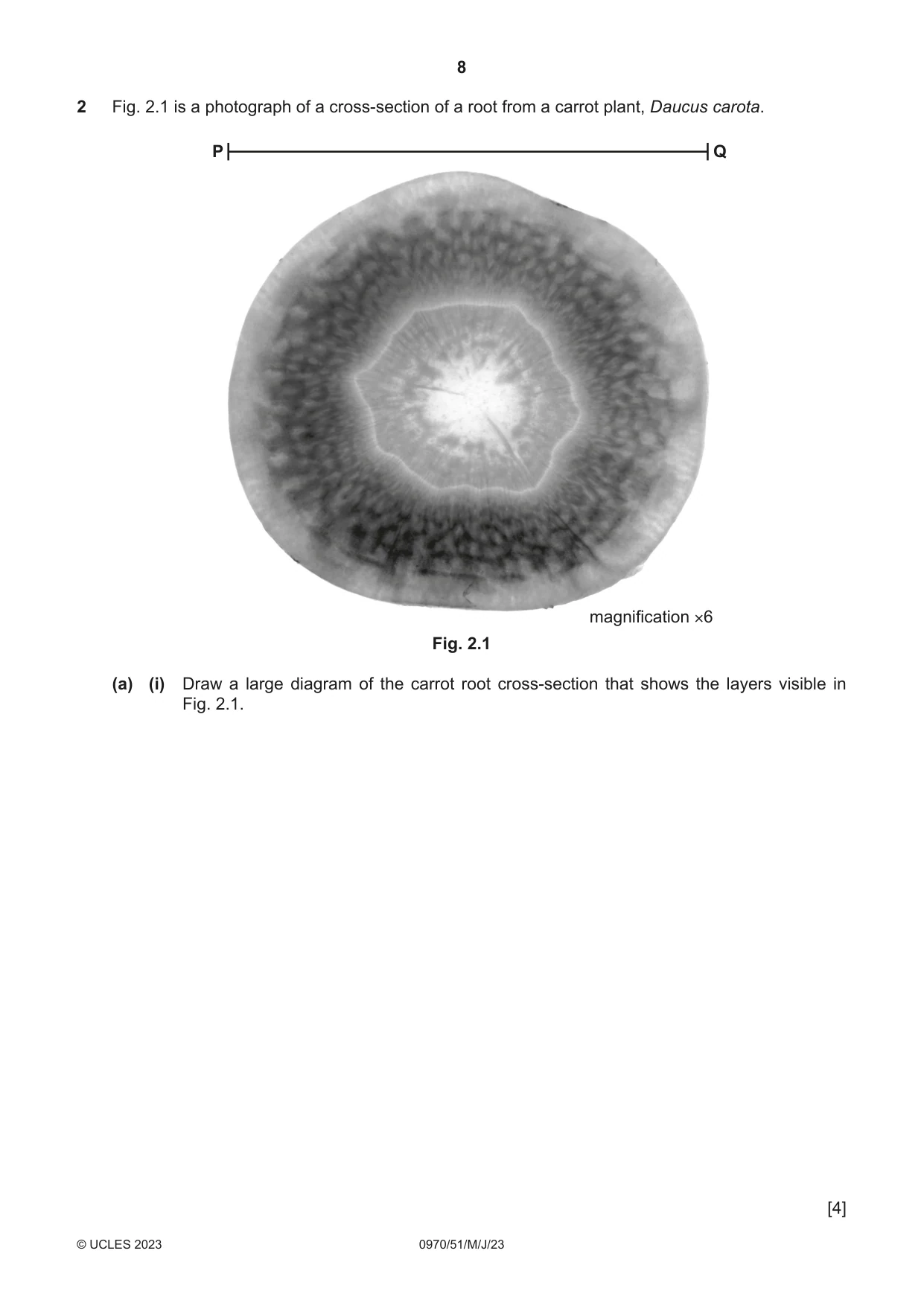 Cambridge IGCSE Biology (9-1) 0970 2023 May/June Paper 5 · Variant 1 question paper, page 8 of 12
