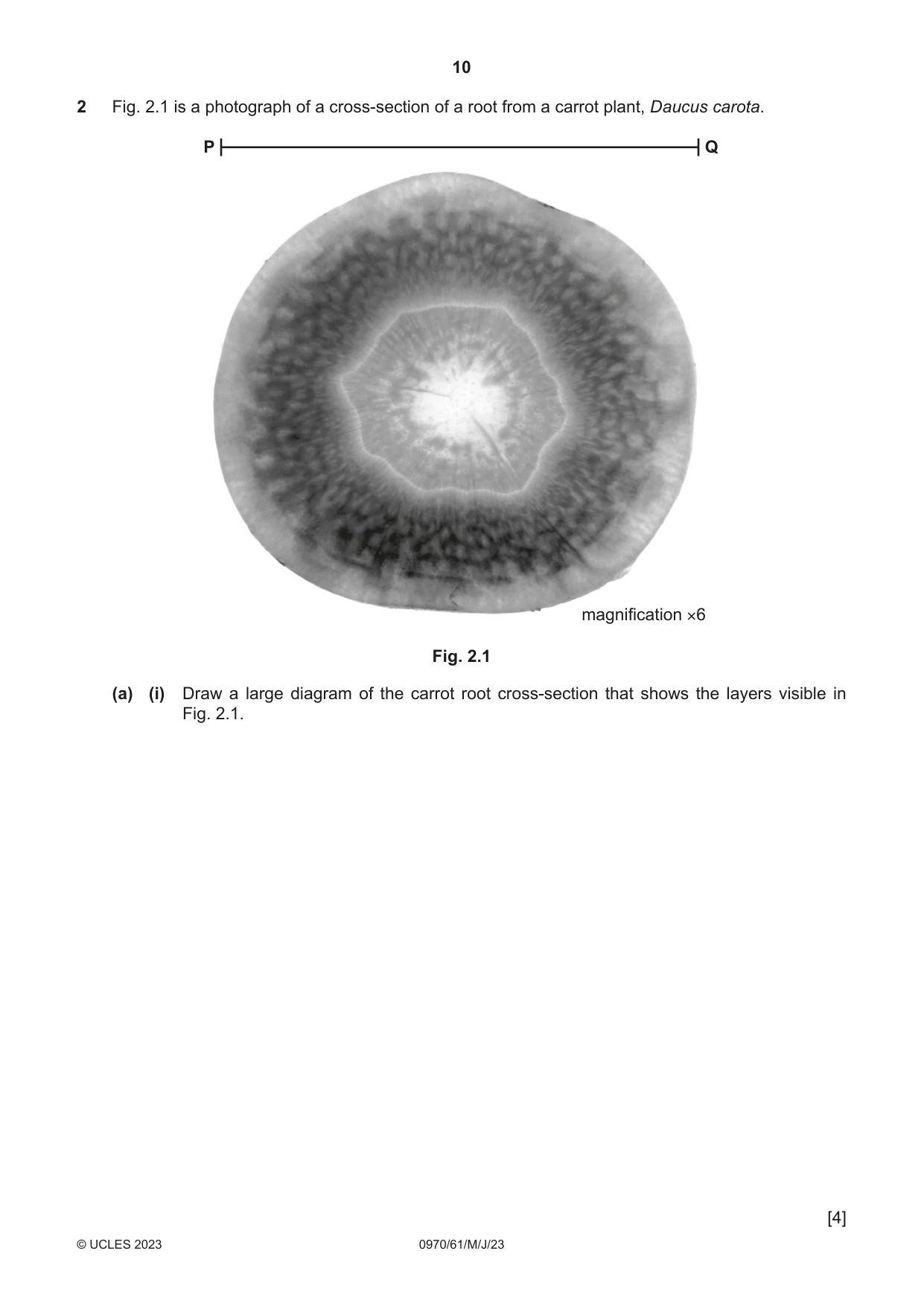 Cambridge IGCSE Biology (9-1) 0970 2023 May/June Paper 6 · Variant 1 question paper, page 10 of 16