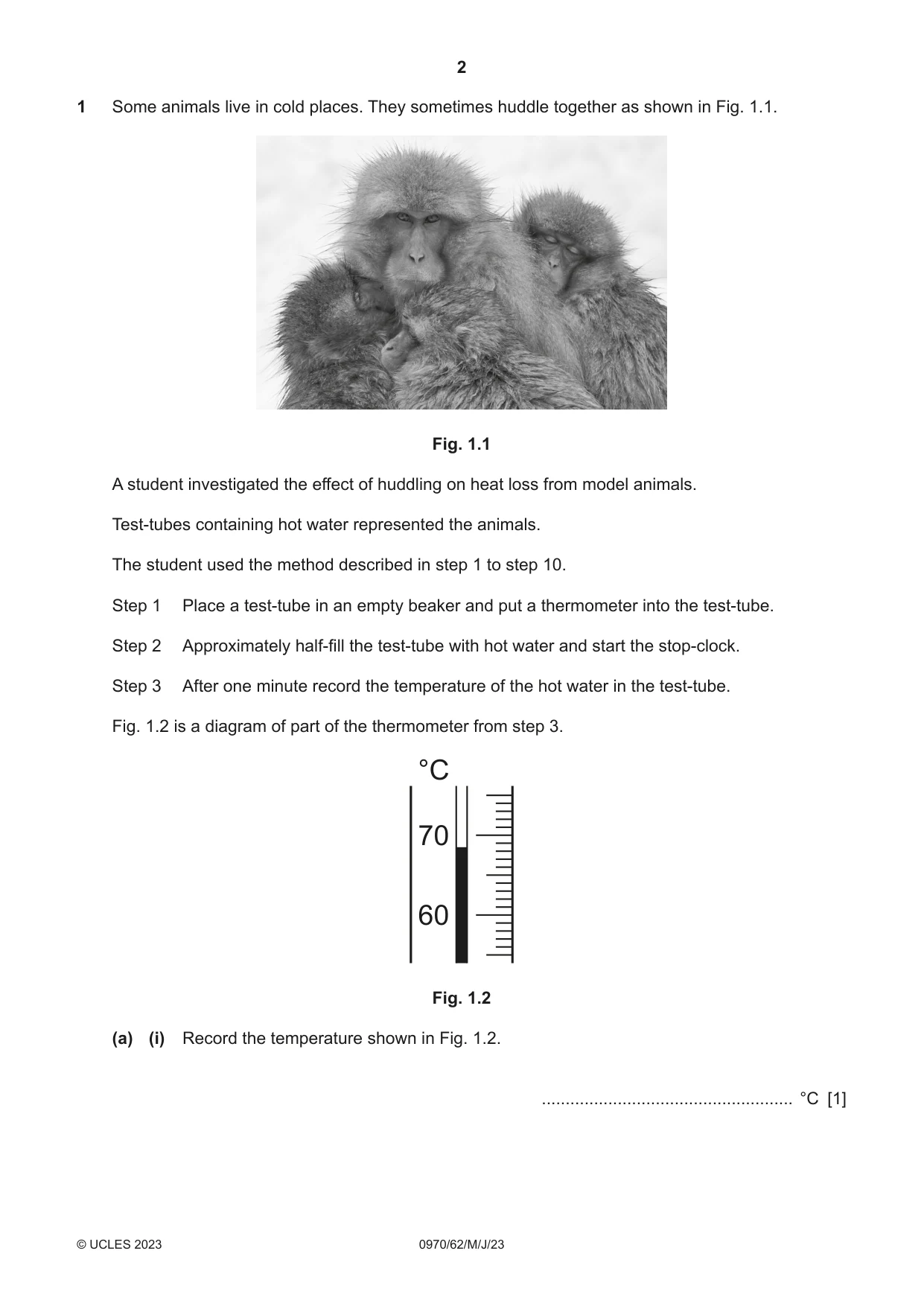 Cambridge IGCSE Biology (9-1) 0970 2023 May/June Paper 6 · Variant 2 question paper, page 2 of 12
