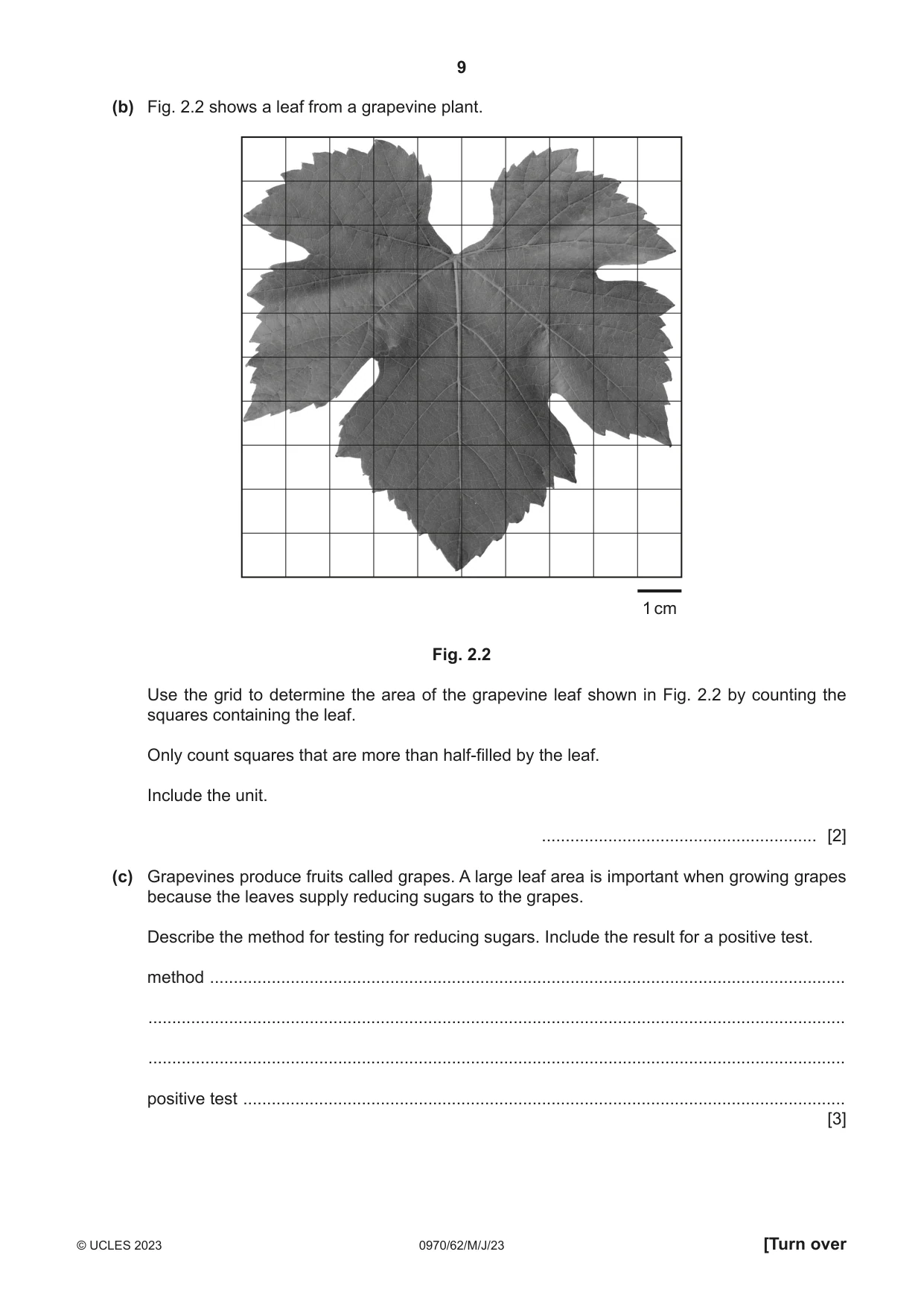 Cambridge IGCSE Biology (9-1) 0970 2023 May/June Paper 6 · Variant 2 question paper, page 9 of 12