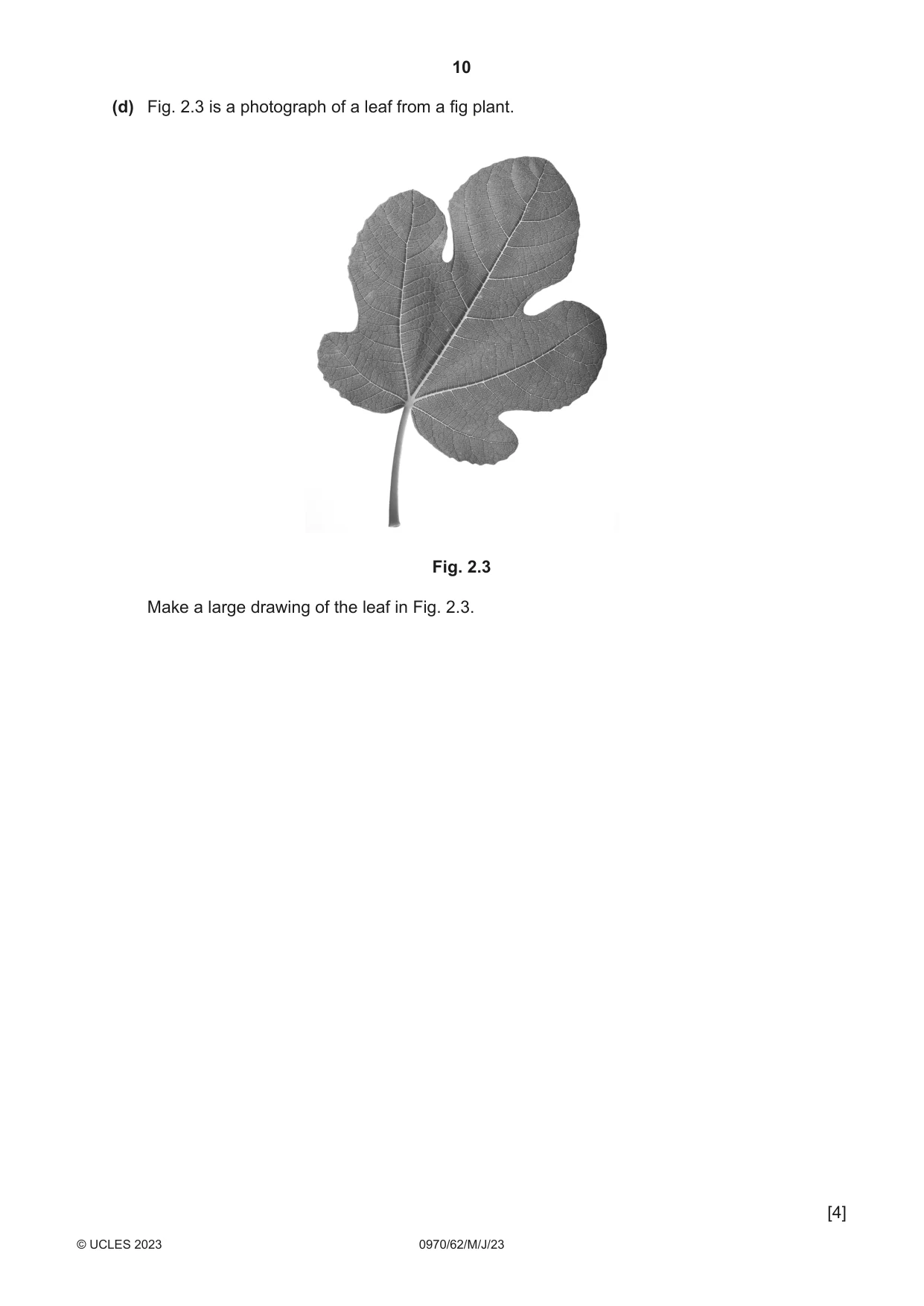 Cambridge IGCSE Biology (9-1) 0970 2023 May/June Paper 6 · Variant 2 question paper, page 10 of 12