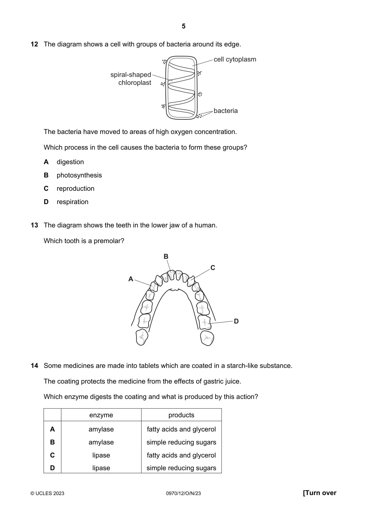 Cambridge IGCSE Biology (9-1) 0970 2023 Oct/Nov Paper 1 · Variant 2 question paper, page 5 of 16