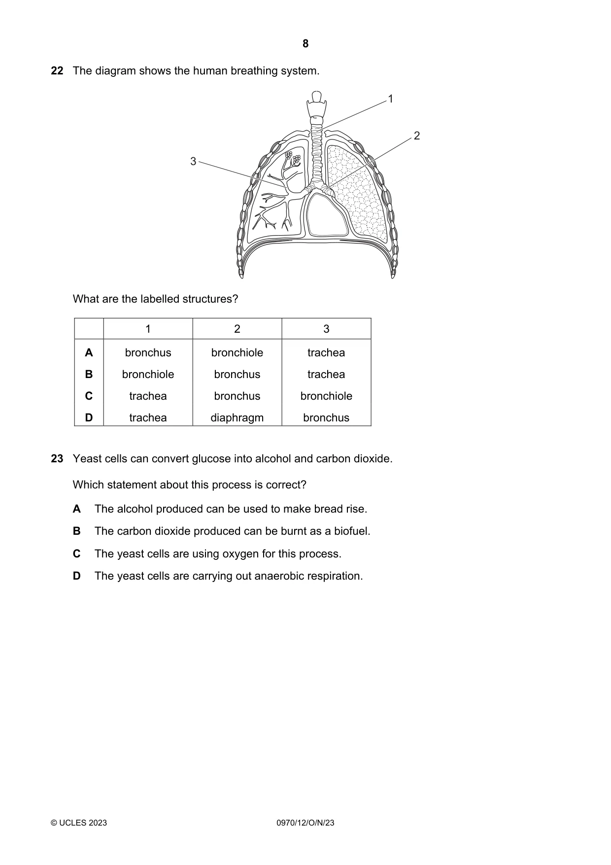 Cambridge IGCSE Biology (9-1) 0970 2023 Oct/Nov Paper 1 · Variant 2 question paper, page 8 of 16