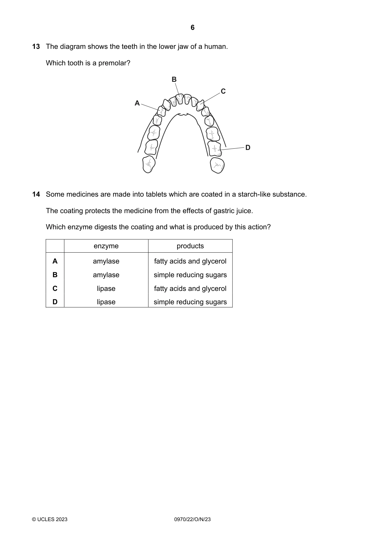 Cambridge IGCSE Biology (9-1) 0970 2023 Oct/Nov Paper 2 · Variant 2 question paper, page 6 of 16