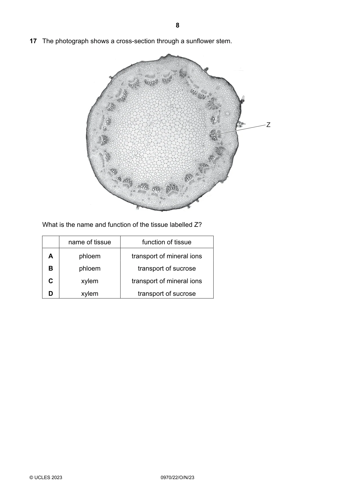 Cambridge IGCSE Biology (9-1) 0970 2023 Oct/Nov Paper 2 · Variant 2 question paper, page 8 of 16