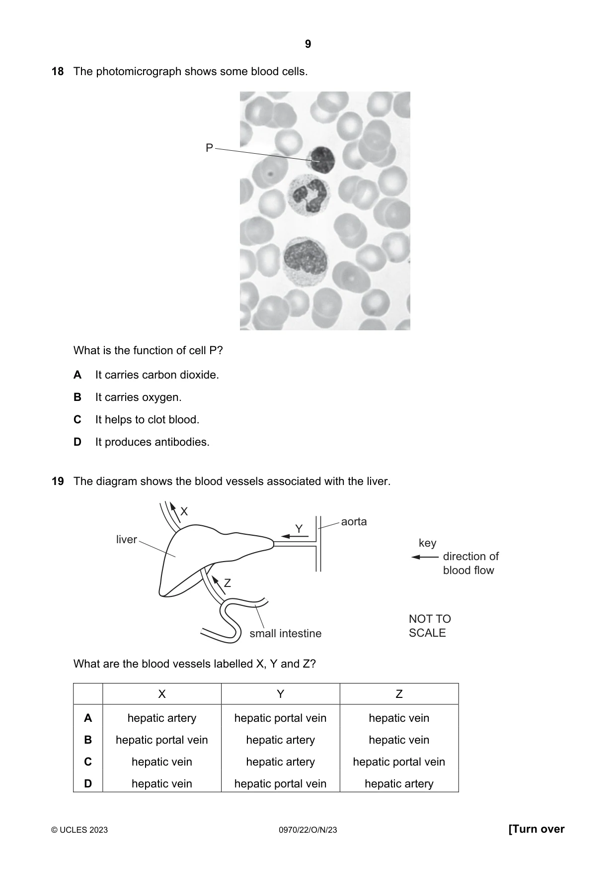 Cambridge IGCSE Biology (9-1) 0970 2023 Oct/Nov Paper 2 · Variant 2 question paper, page 9 of 16