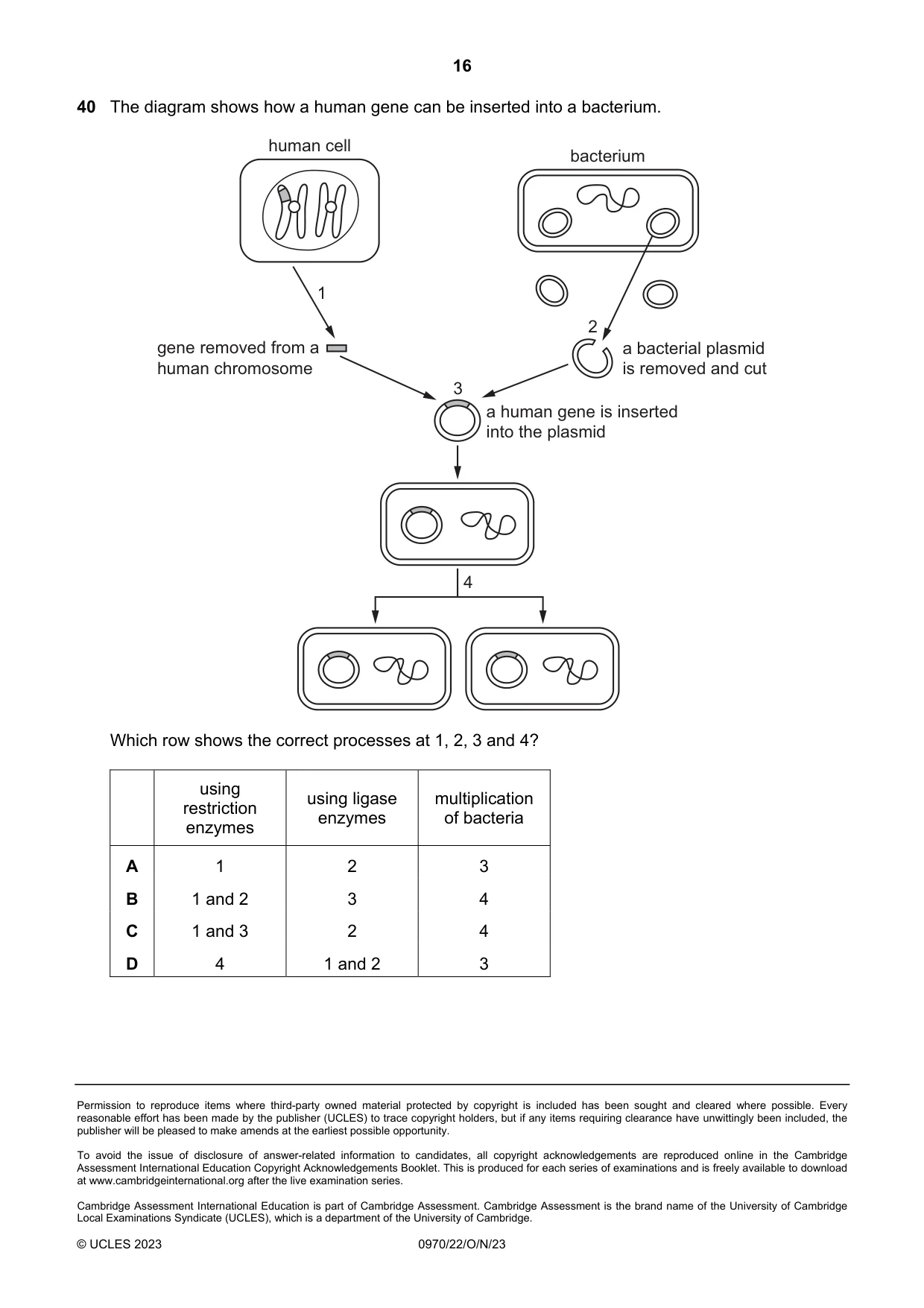 Cambridge IGCSE Biology (9-1) 0970 2023 Oct/Nov Paper 2 · Variant 2 question paper, page 16 of 16