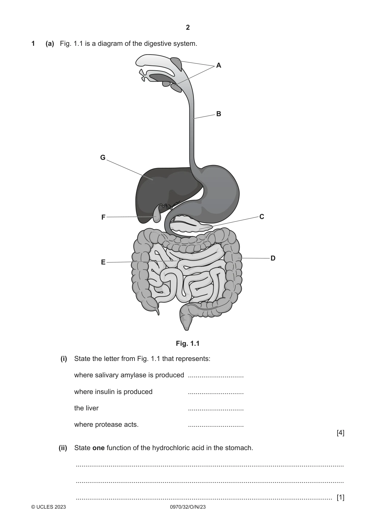 Cambridge IGCSE Biology (9-1) 0970 2023 Oct/Nov Paper 3 · Variant 2 question paper, page 2 of 20