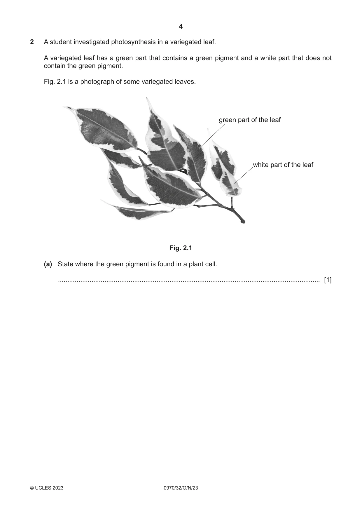 Cambridge IGCSE Biology (9-1) 0970 2023 Oct/Nov Paper 3 · Variant 2 question paper, page 4 of 20