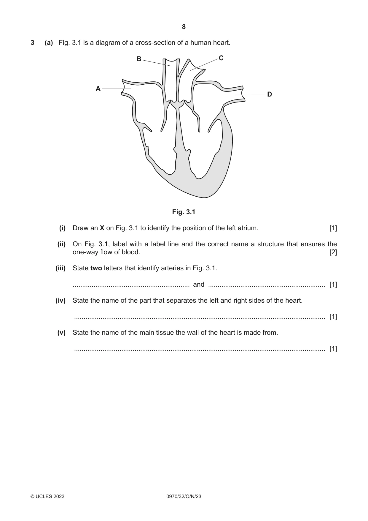 Cambridge IGCSE Biology (9-1) 0970 2023 Oct/Nov Paper 3 · Variant 2 question paper, page 8 of 20