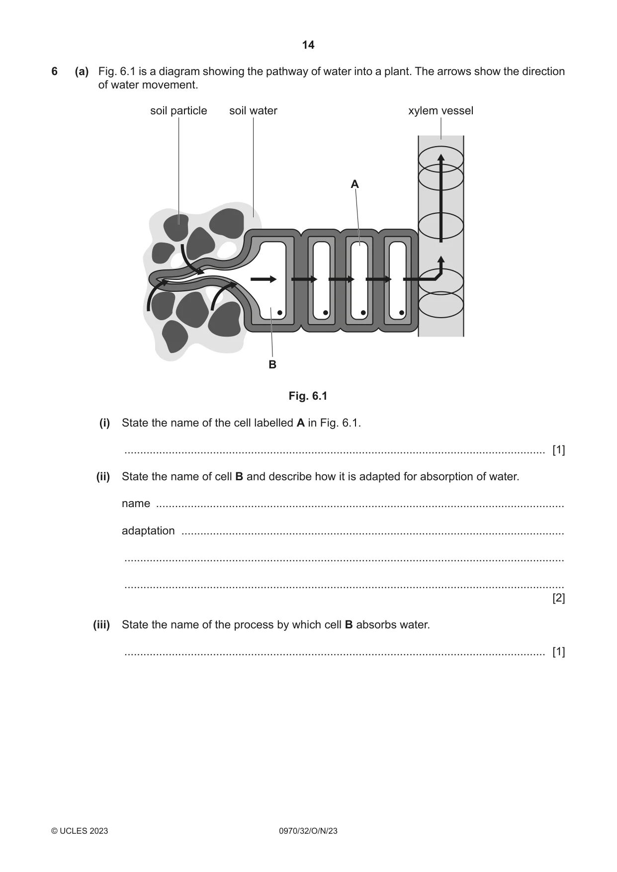 Cambridge IGCSE Biology (9-1) 0970 2023 Oct/Nov Paper 3 · Variant 2 question paper, page 14 of 20