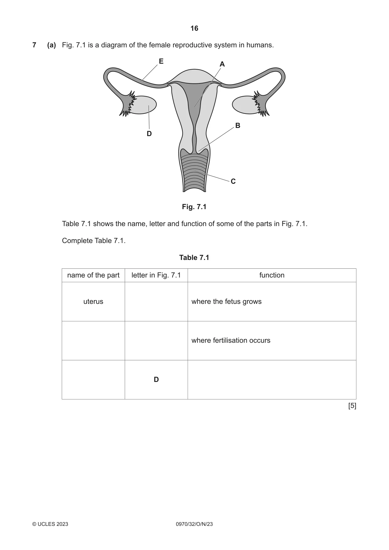 Cambridge IGCSE Biology (9-1) 0970 2023 Oct/Nov Paper 3 · Variant 2 question paper, page 16 of 20