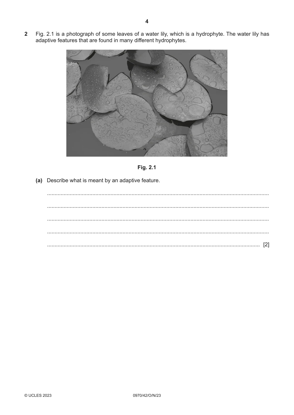 Cambridge IGCSE Biology (9-1) 0970 2023 Oct/Nov Paper 4 · Variant 2 question paper, page 4 of 20