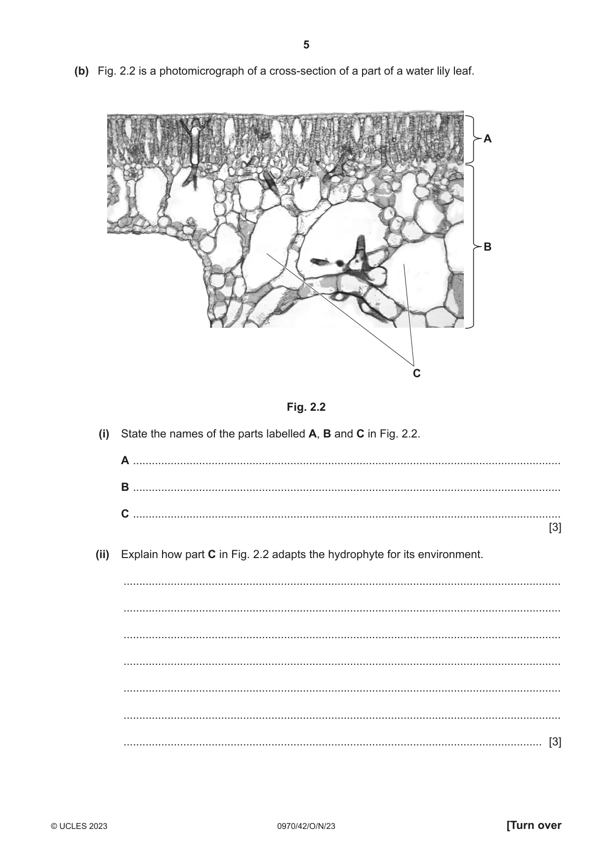 Cambridge IGCSE Biology (9-1) 0970 2023 Oct/Nov Paper 4 · Variant 2 question paper, page 5 of 20