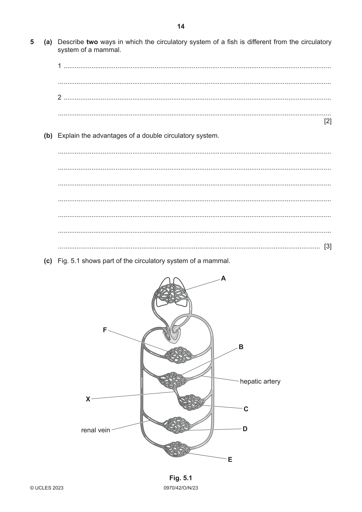 Cambridge IGCSE Biology (9-1) 0970 2023 Oct/Nov Paper 4 · Variant 2 question paper, page 14 of 20