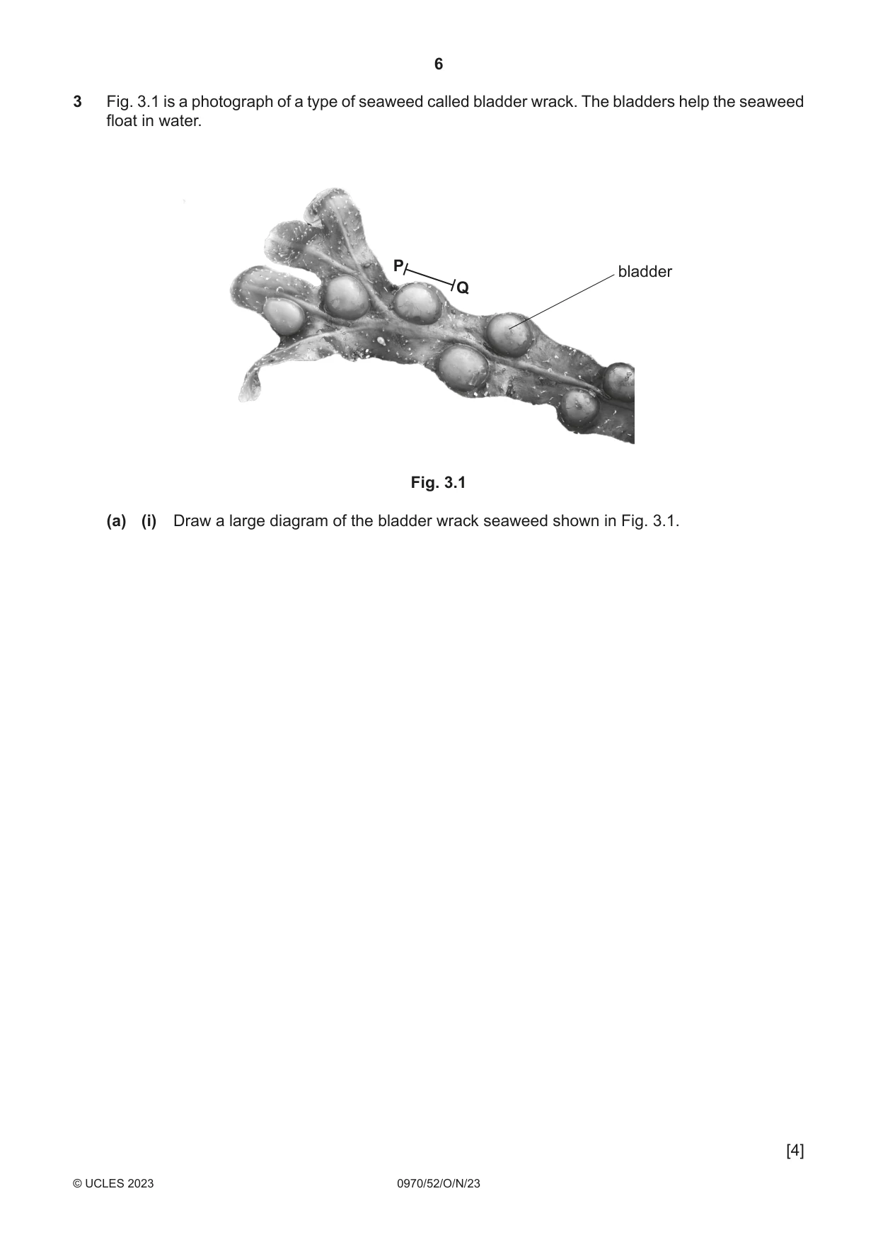 Cambridge IGCSE Biology (9-1) 0970 2023 Oct/Nov Paper 5 · Variant 2 question paper, page 6 of 12