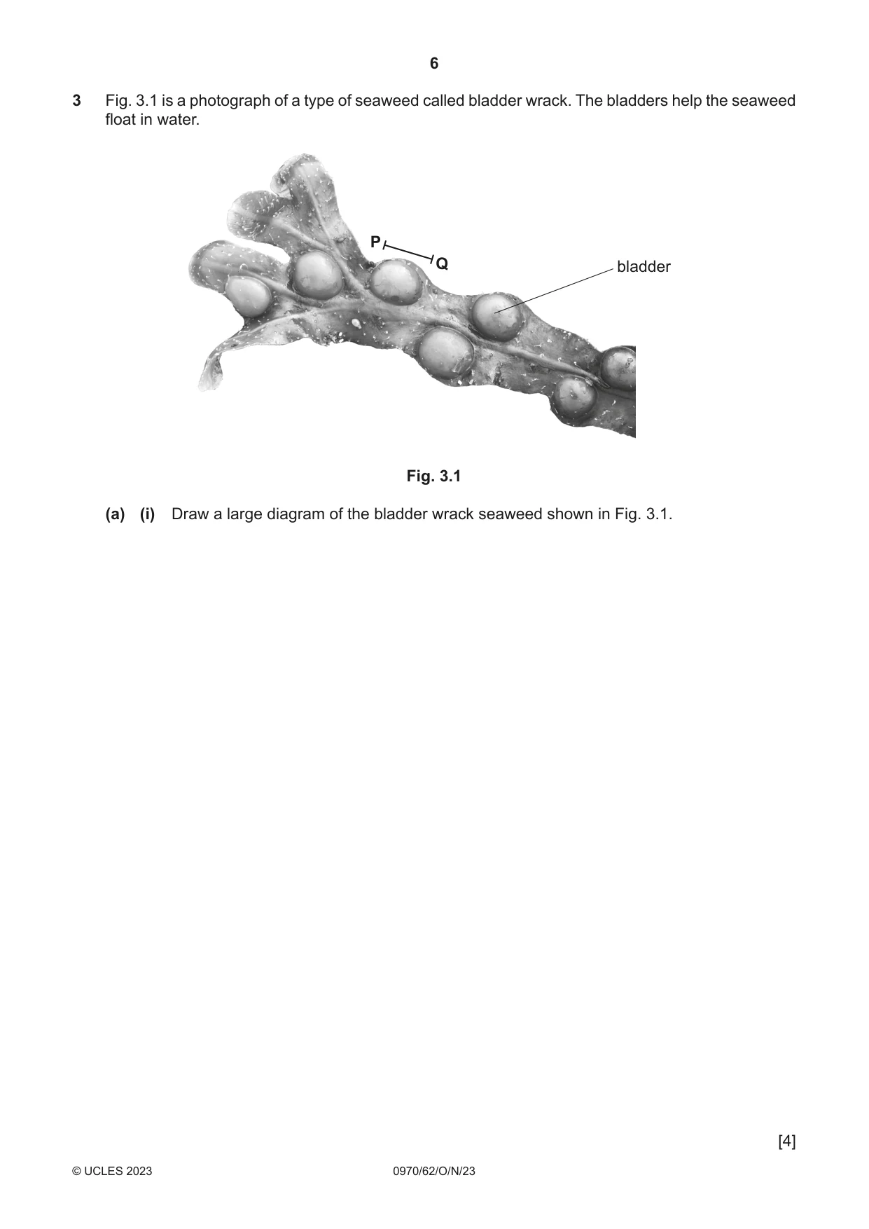 Cambridge IGCSE Biology (9-1) 0970 2023 Oct/Nov Paper 6 · Variant 2 question paper, page 6 of 12