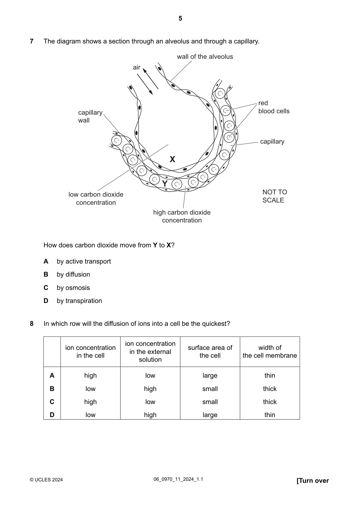 Cambridge IGCSE Biology (9-1) 0970 2024 May/June Paper 1 · Variant 1 question paper, page 5 of 20