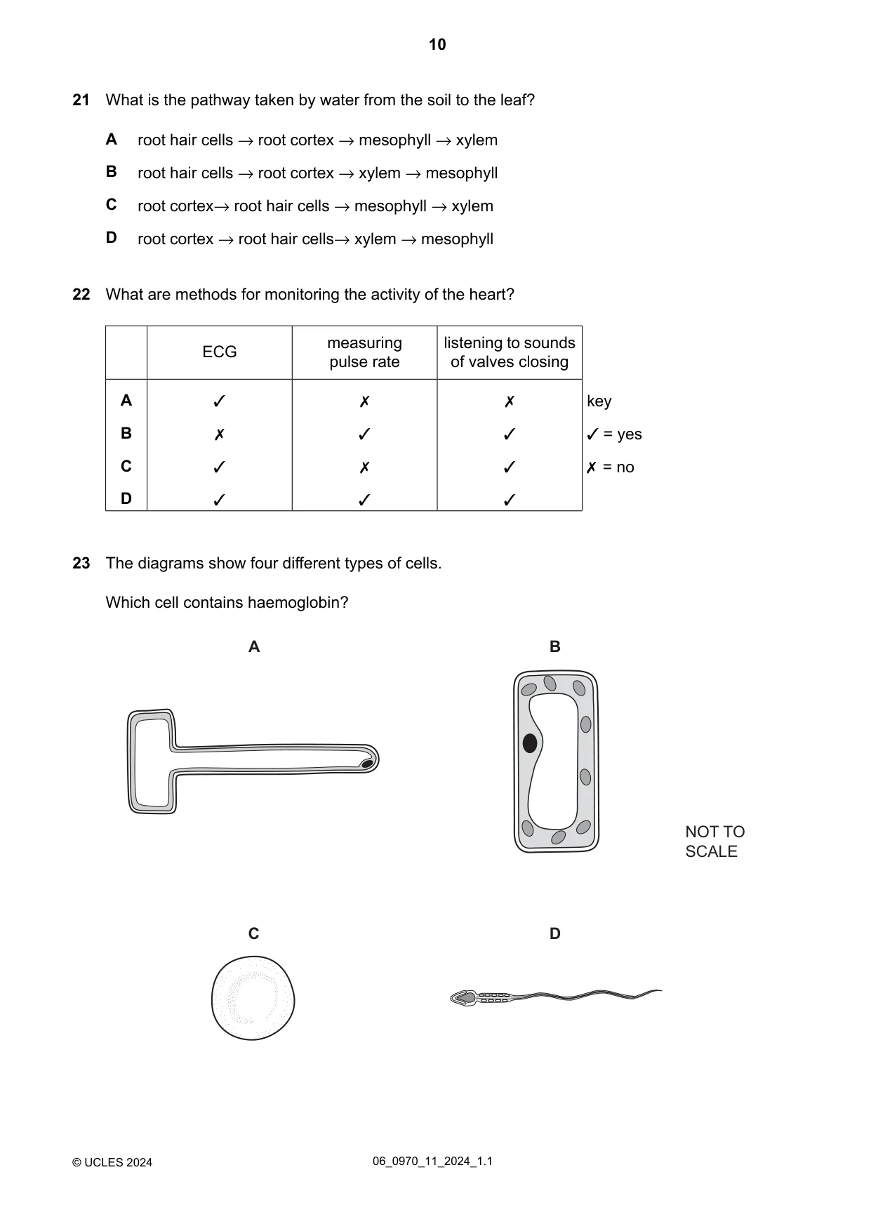 Cambridge IGCSE Biology (9-1) 0970 2024 May/June Paper 1 · Variant 1 question paper, page 10 of 20