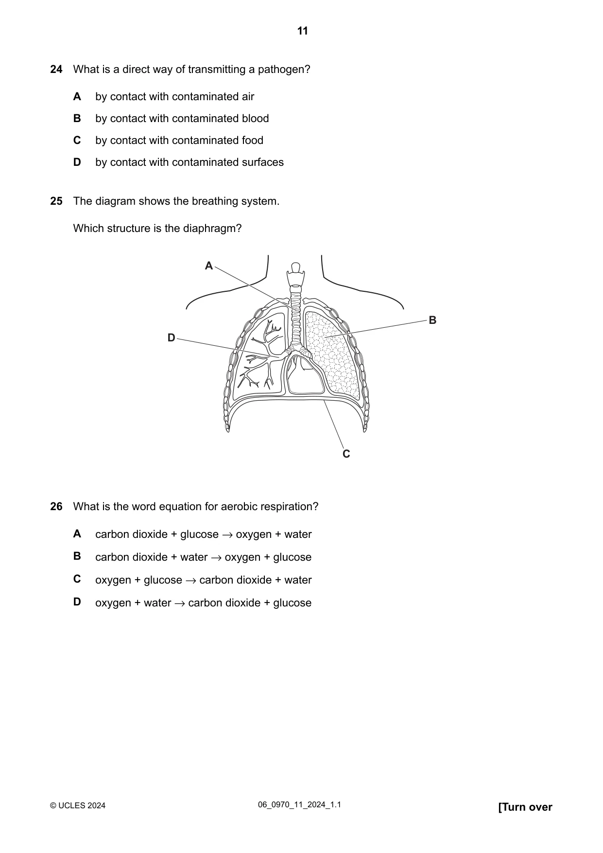 Cambridge IGCSE Biology (9-1) 0970 2024 May/June Paper 1 · Variant 1 question paper, page 11 of 20