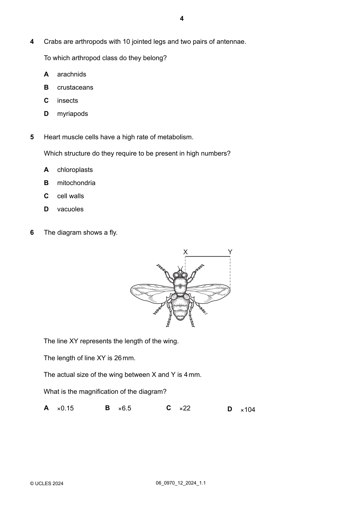 Cambridge IGCSE Biology (9-1) 0970 2024 May/June Paper 1 · Variant 2 question paper, page 4 of 20