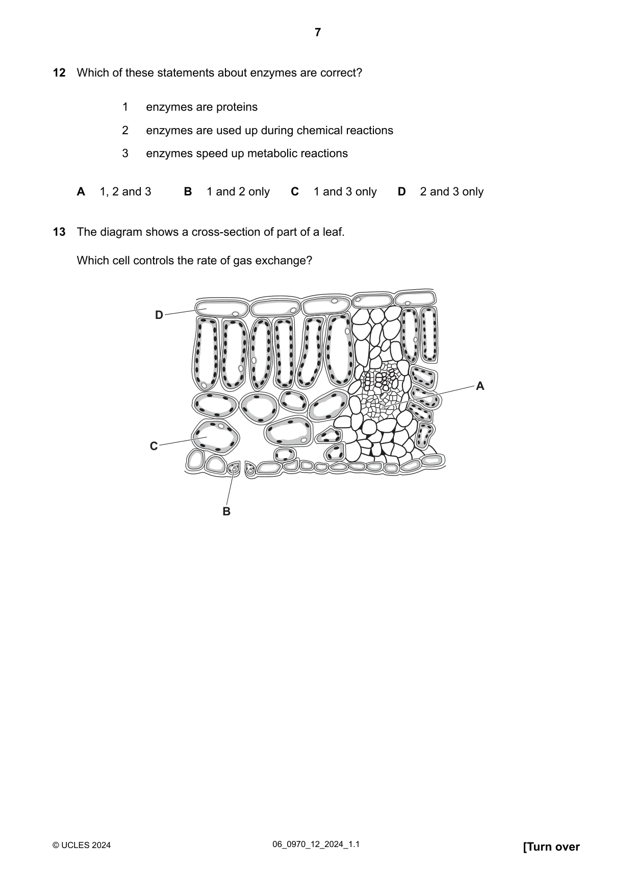 Cambridge IGCSE Biology (9-1) 0970 2024 May/June Paper 1 · Variant 2 question paper, page 7 of 20