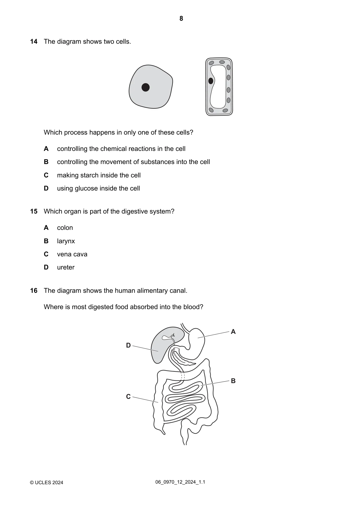 Cambridge IGCSE Biology (9-1) 0970 2024 May/June Paper 1 · Variant 2 question paper, page 8 of 20