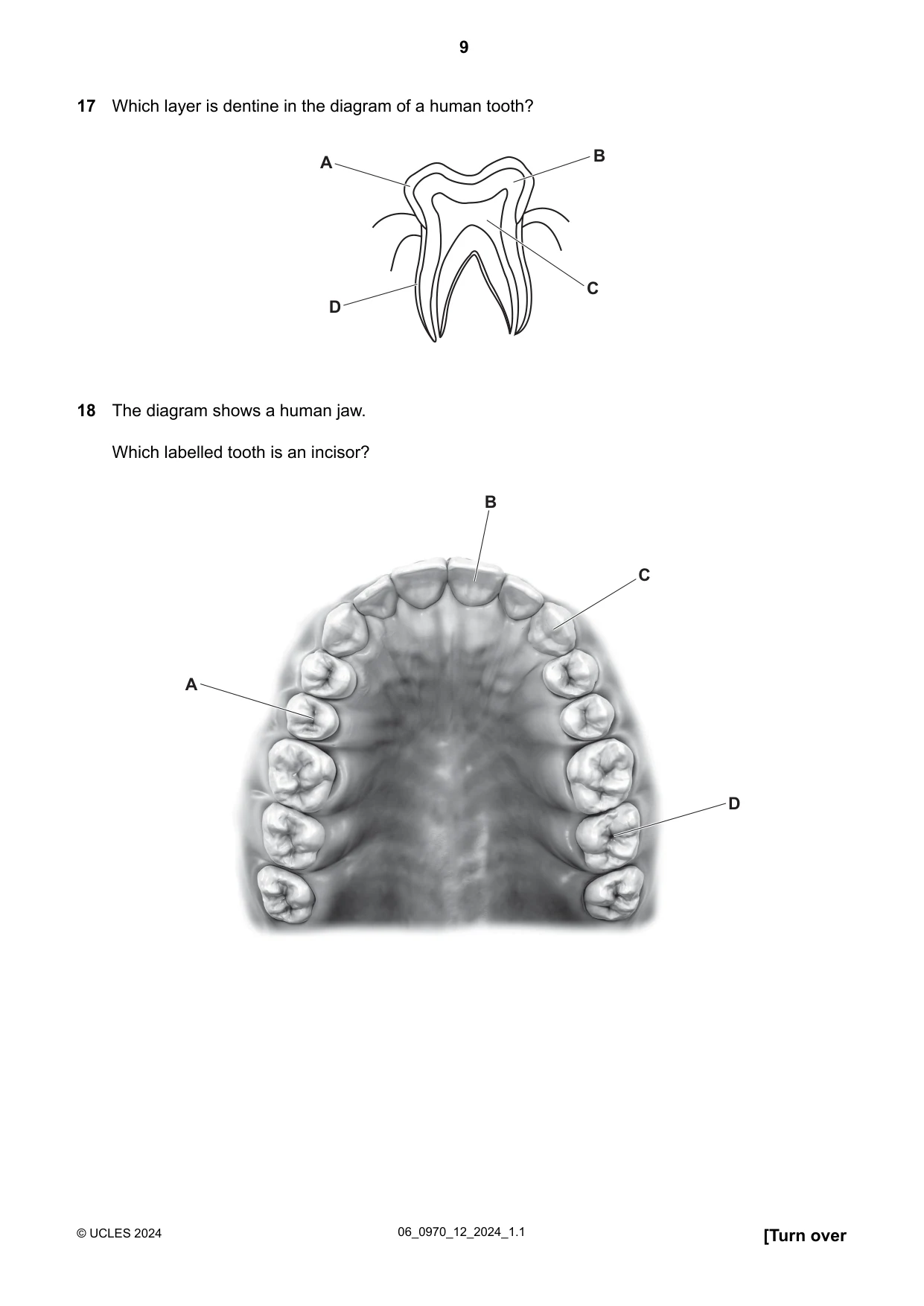 Cambridge IGCSE Biology (9-1) 0970 2024 May/June Paper 1 · Variant 2 question paper, page 9 of 20