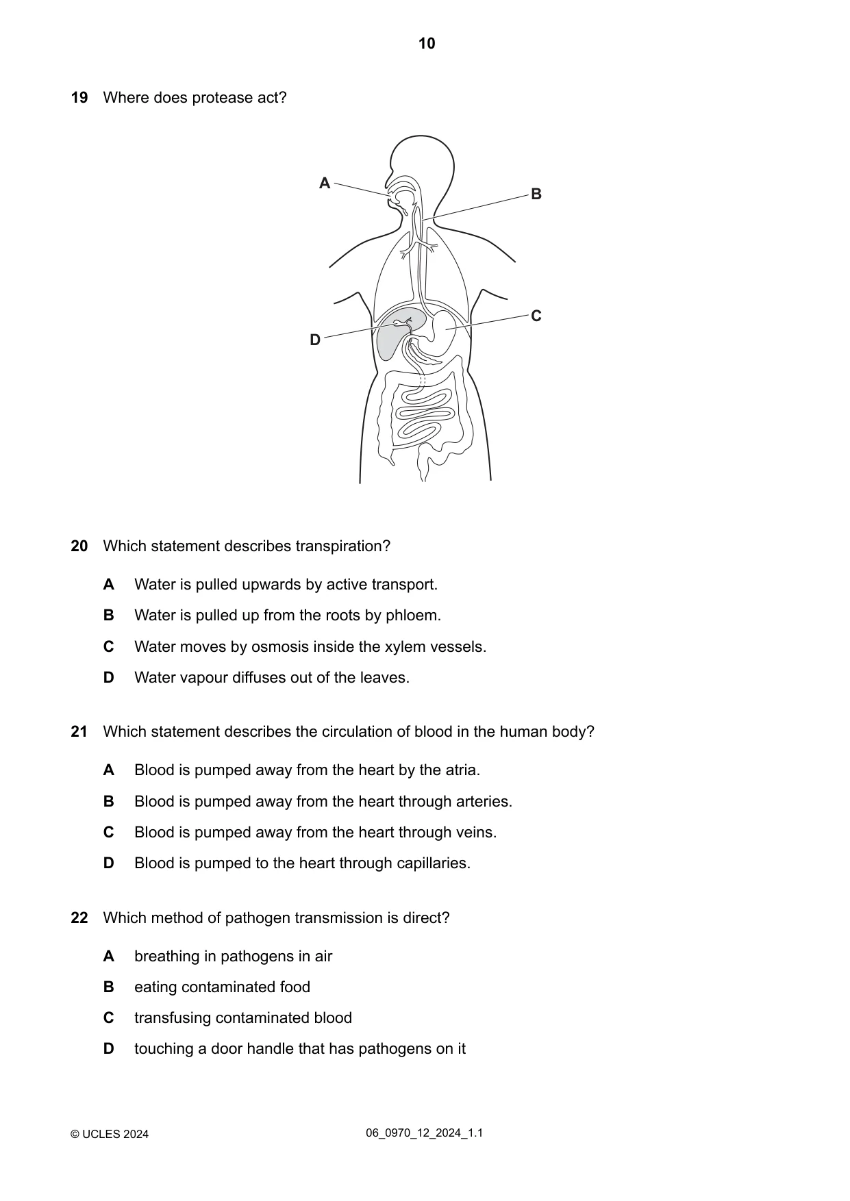 Cambridge IGCSE Biology (9-1) 0970 2024 May/June Paper 1 · Variant 2 question paper, page 10 of 20