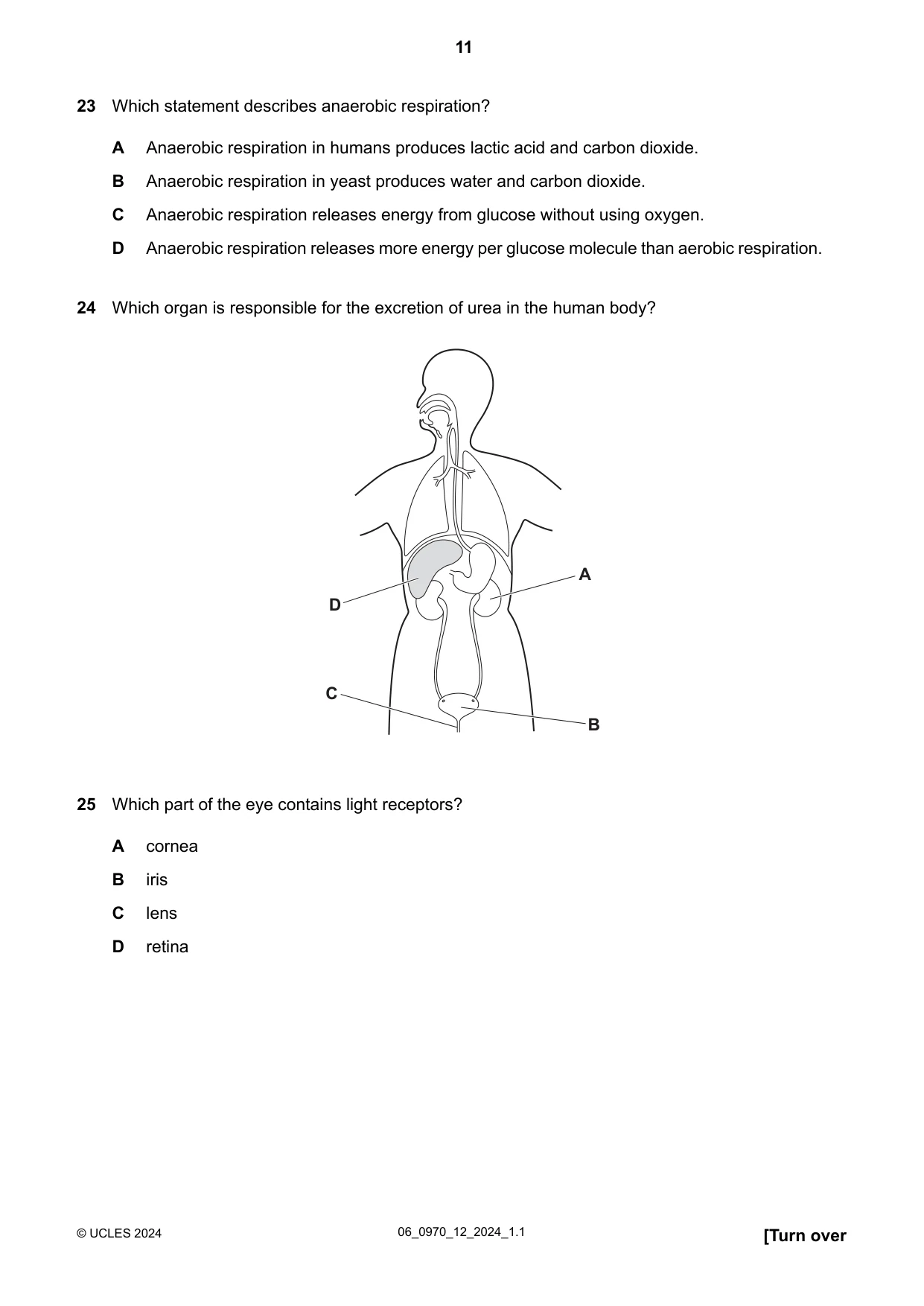 Cambridge IGCSE Biology (9-1) 0970 2024 May/June Paper 1 · Variant 2 question paper, page 11 of 20