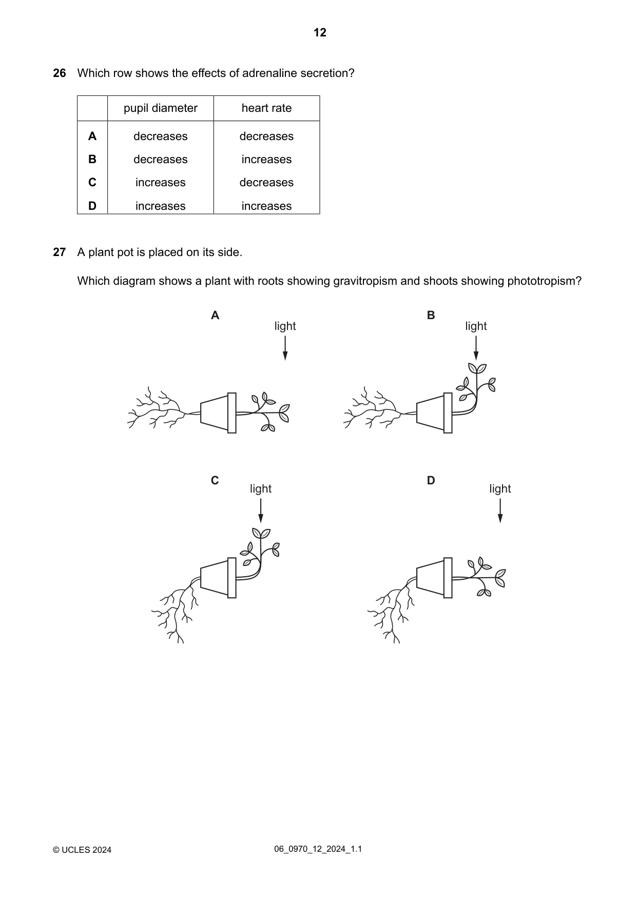 Cambridge IGCSE Biology (9-1) 0970 2024 May/June Paper 1 · Variant 2 question paper, page 12 of 20