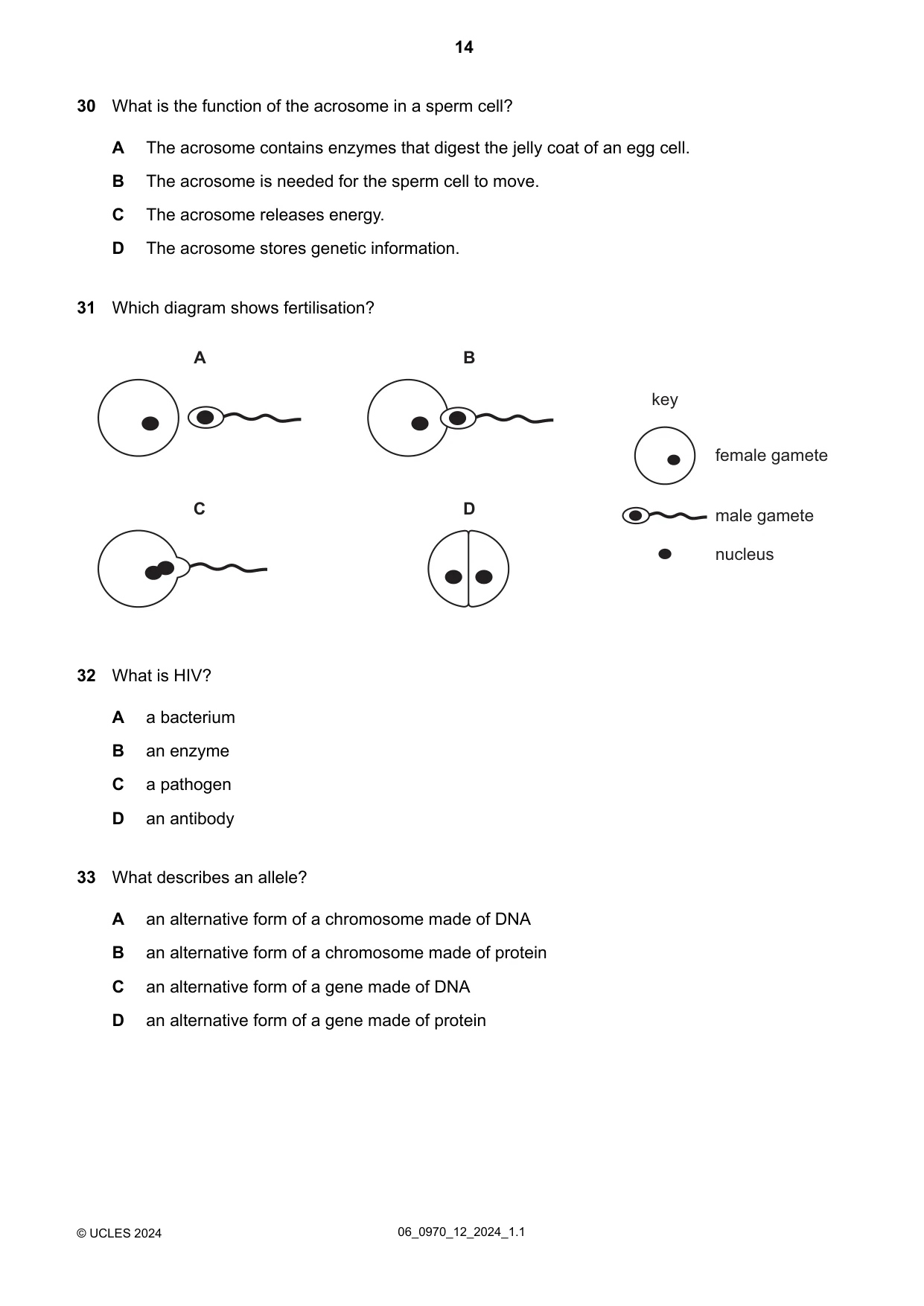 Cambridge IGCSE Biology (9-1) 0970 2024 May/June Paper 1 · Variant 2 question paper, page 14 of 20