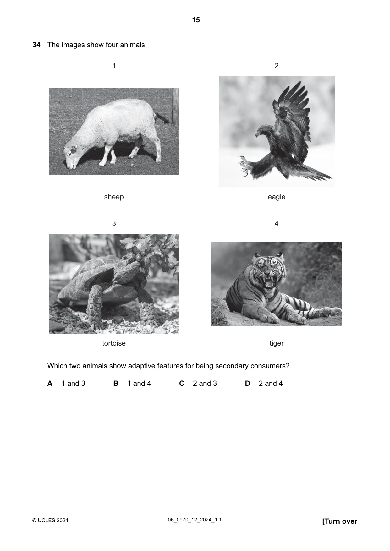 Cambridge IGCSE Biology (9-1) 0970 2024 May/June Paper 1 · Variant 2 question paper, page 15 of 20