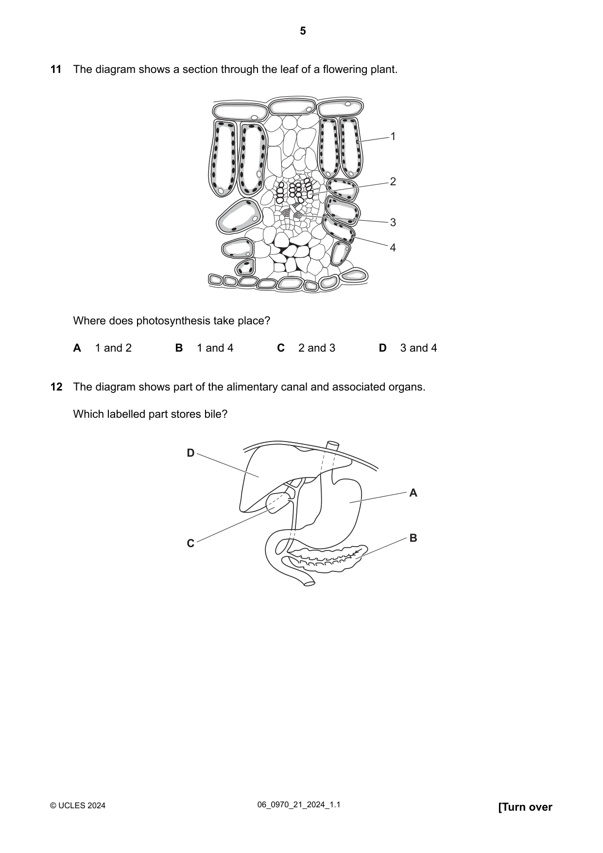 Cambridge IGCSE Biology (9-1) 0970 2024 May/June Paper 2 · Variant 1 question paper, page 5 of 16