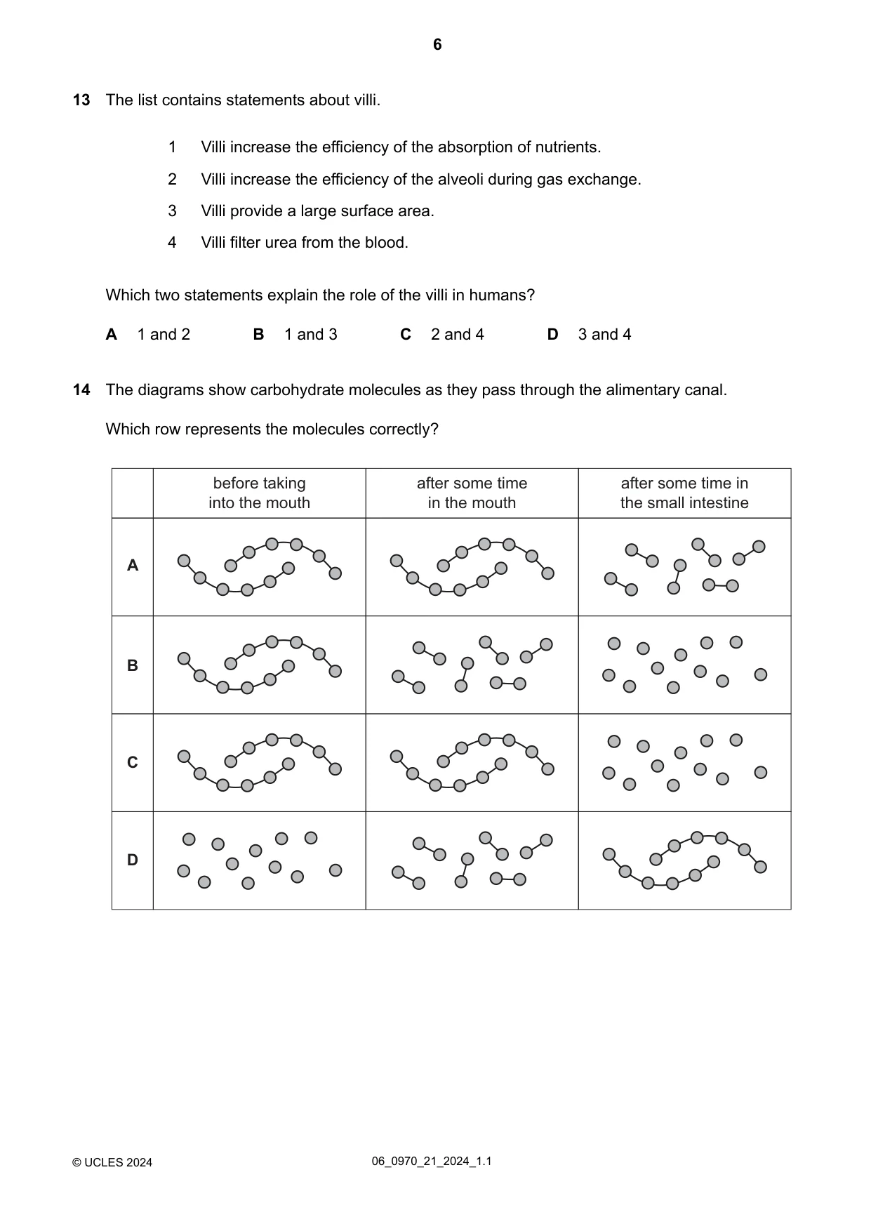 Cambridge IGCSE Biology (9-1) 0970 2024 May/June Paper 2 · Variant 1 question paper, page 6 of 16