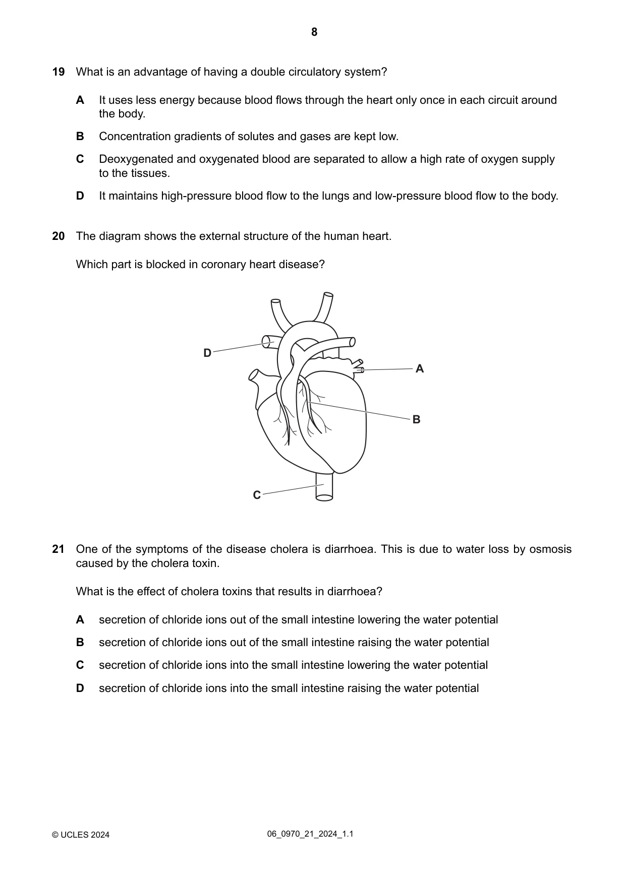 Cambridge IGCSE Biology (9-1) 0970 2024 May/June Paper 2 · Variant 1 question paper, page 8 of 16