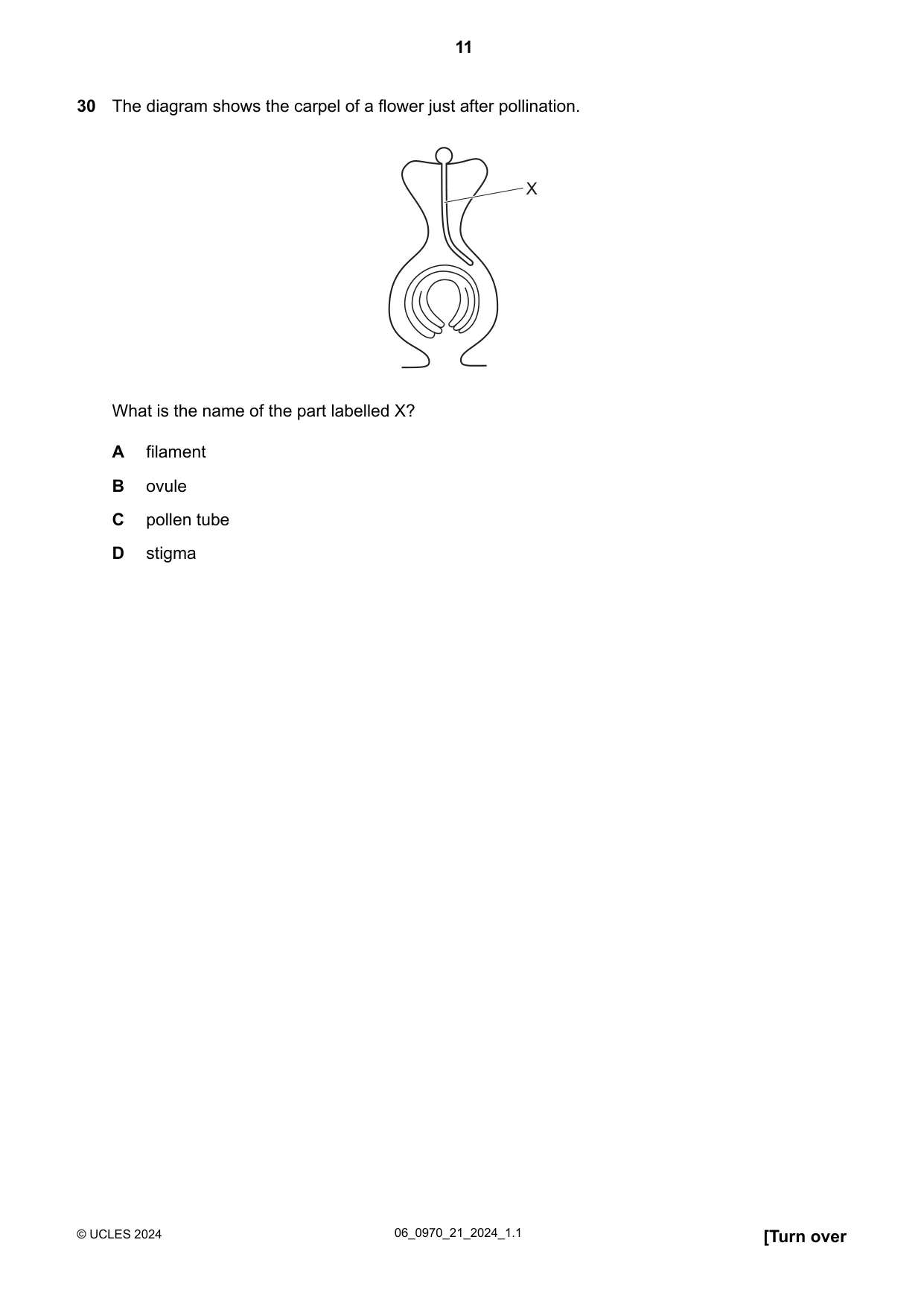 Cambridge IGCSE Biology (9-1) 0970 2024 May/June Paper 2 · Variant 1 question paper, page 11 of 16