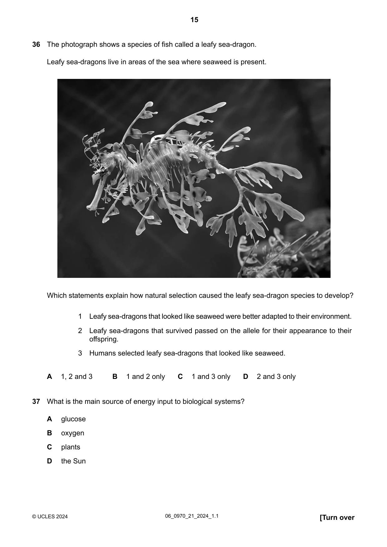 Cambridge IGCSE Biology (9-1) 0970 2024 May/June Paper 2 · Variant 1 question paper, page 15 of 16