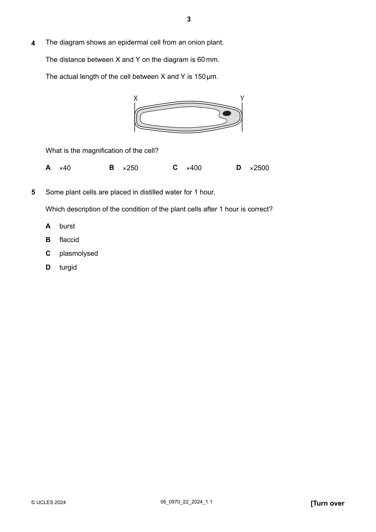 Cambridge IGCSE Biology (9-1) 0970 2024 May/June Paper 2 · Variant 2 question paper, page 3 of 16