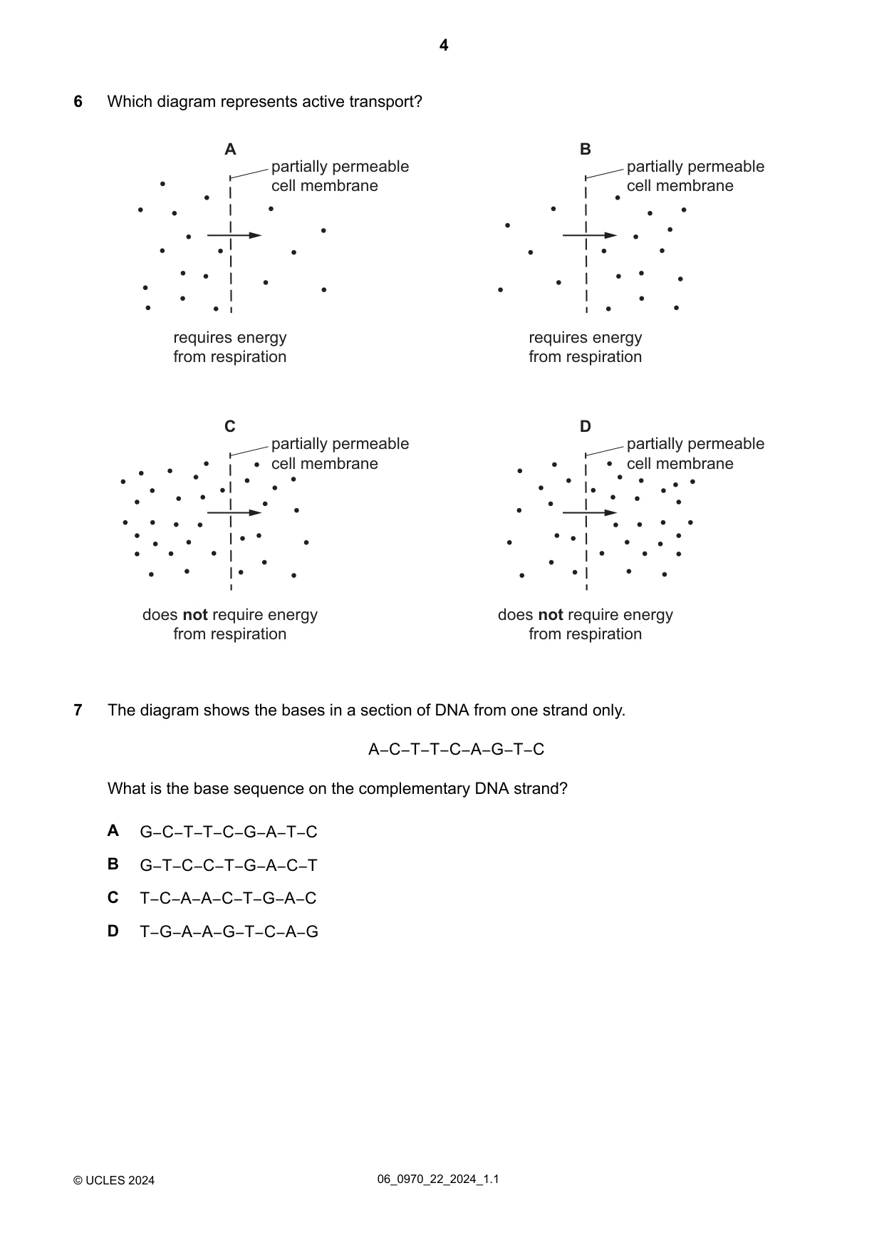 Cambridge IGCSE Biology (9-1) 0970 2024 May/June Paper 2 · Variant 2 question paper, page 4 of 16