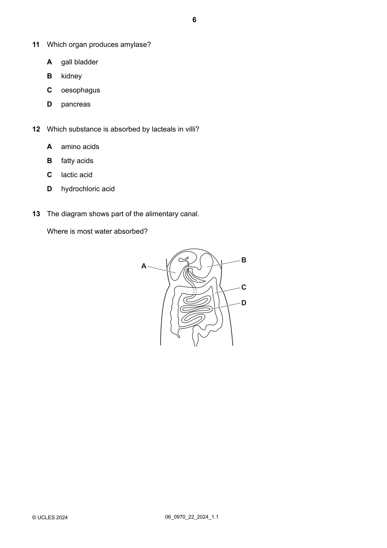 Cambridge IGCSE Biology (9-1) 0970 2024 May/June Paper 2 · Variant 2 question paper, page 6 of 16