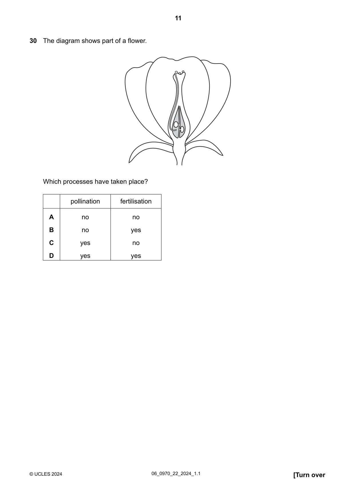 Cambridge IGCSE Biology (9-1) 0970 2024 May/June Paper 2 · Variant 2 question paper, page 11 of 16