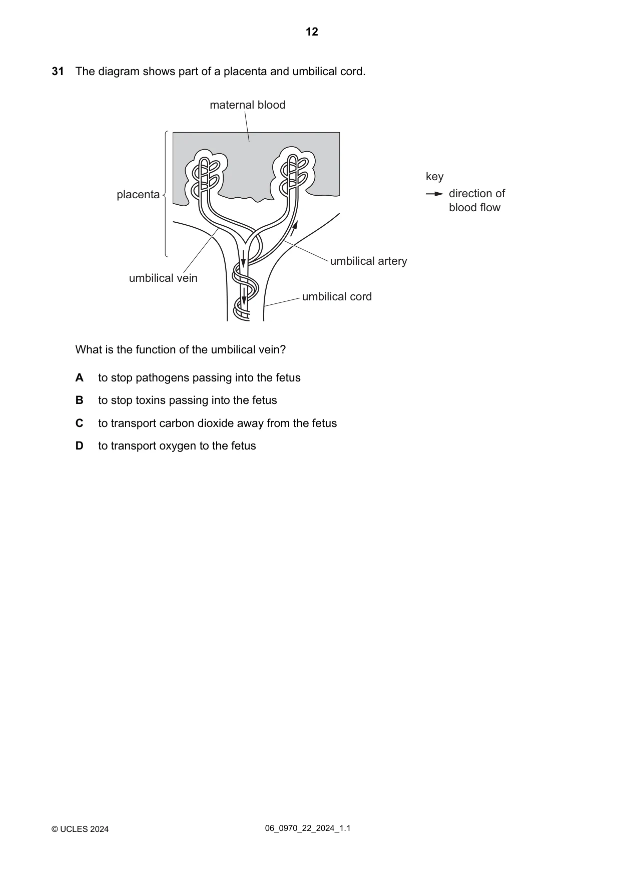Cambridge IGCSE Biology (9-1) 0970 2024 May/June Paper 2 · Variant 2 question paper, page 12 of 16